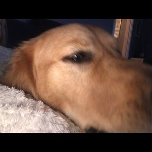 Meet your Posher, Maureen